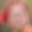 Rostro 4