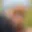 Rostro 2