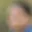 Rostro 3