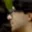 Rostro 7