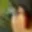 Rostro 4