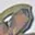 Rostro 4
