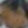 Rostro 4