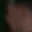 Rostro 5