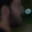 Rostro 9