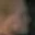 Rostro 40