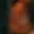 Rostro 41