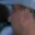 Rostro 2