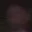 Rostro 20