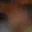 Rostro 20