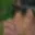 Rostro 16