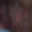 Rostro 10