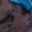 Rostro 22