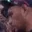 Rostro 15