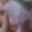 Rostro 24