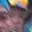 Rostro 29