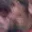 Rostro 26