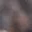 Rostro 26