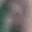 Rostro 27