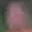 Rostro 28