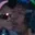 Rostro 12