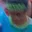 Rostro 11
