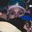 Rostro 16