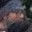 Rostro 38