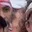 Rostro 37