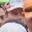 Rostro 46
