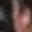 Rostro 53