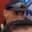 Rostro 7