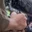 Rostro 13