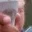 Rostro 30