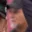 Rostro 8
