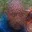 Rostro 4