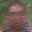 Rostro 2