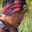 Rostro 1