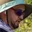 Rostro 1