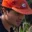 Rostro 1
