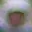 Rostro 4