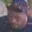 Rostro 2