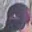 Rostro 1
