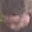 Rostro 4