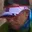 Rostro 2