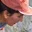 Rostro 2