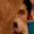 Rostro 11