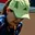 Rostro 5