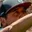 Rostro 4