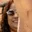 Rostro 8